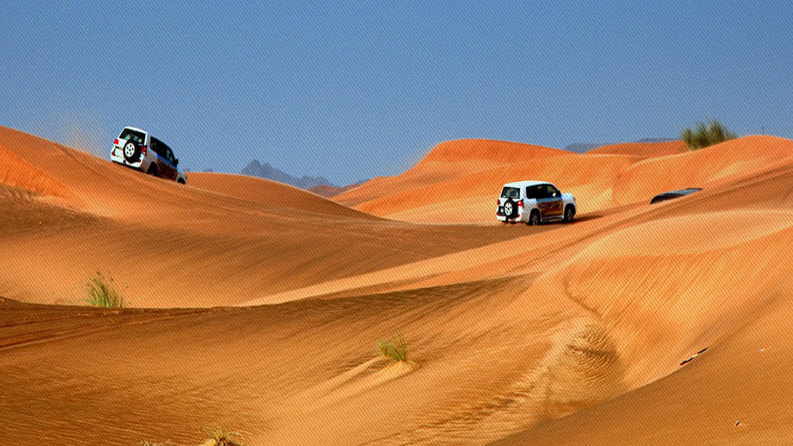 Adventure & Desert Safari Tours & travel UAE